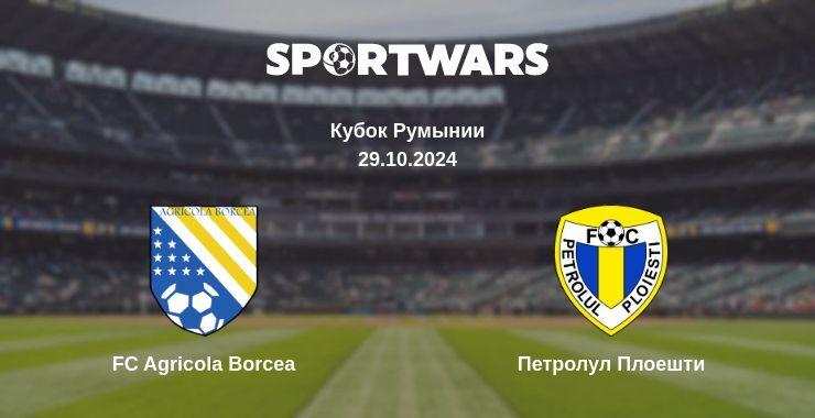 FC Agricola Borcea — Петролул Плоешти смотреть онлайн бесплатно 29.10.2024