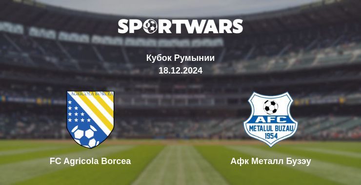 FC Agricola Borcea — Афк Металл Бузэу смотреть онлайн бесплатно 18.12.2024