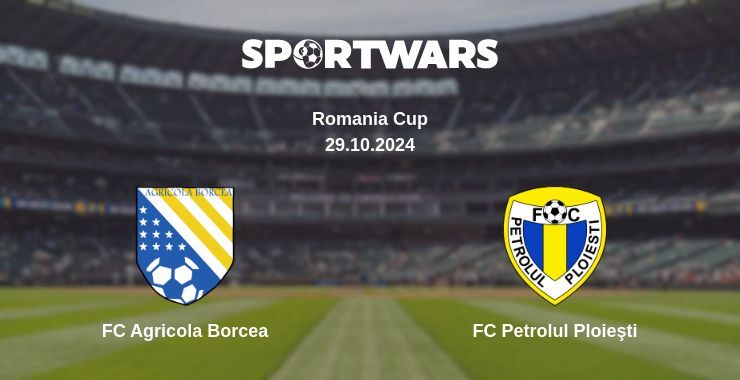 FC Agricola Borcea — FC Petrolul Ploieşti watch online for free 29.10.2024