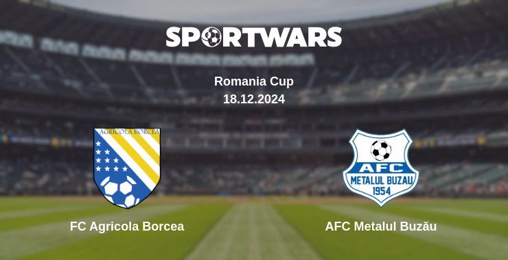 FC Agricola Borcea — AFC Metalul Buzău watch online for free 18.12.2024