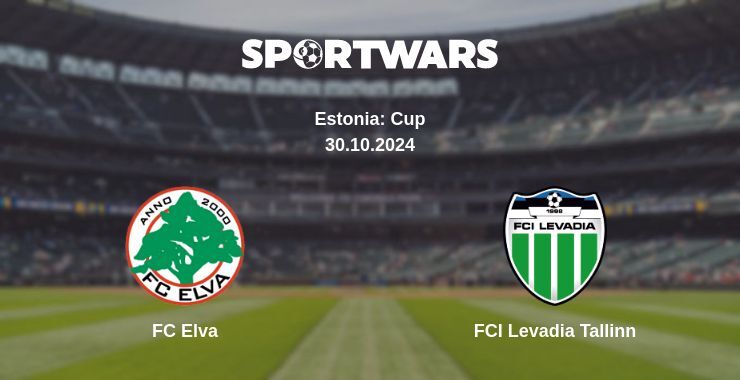 Result of the FC Elva — FCI Levadia Tallinn match, 30.10.2024