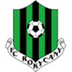 Рокицы